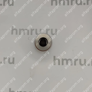Поршень с кольцами (PTFE) для LPF/PPF-100(T)