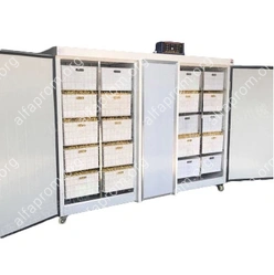 Проращиватель семян, бобов, злаков BSC-300A Foodatlas