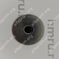Поршень с кольцами (PTFE) для LPF/PPF-500(T)